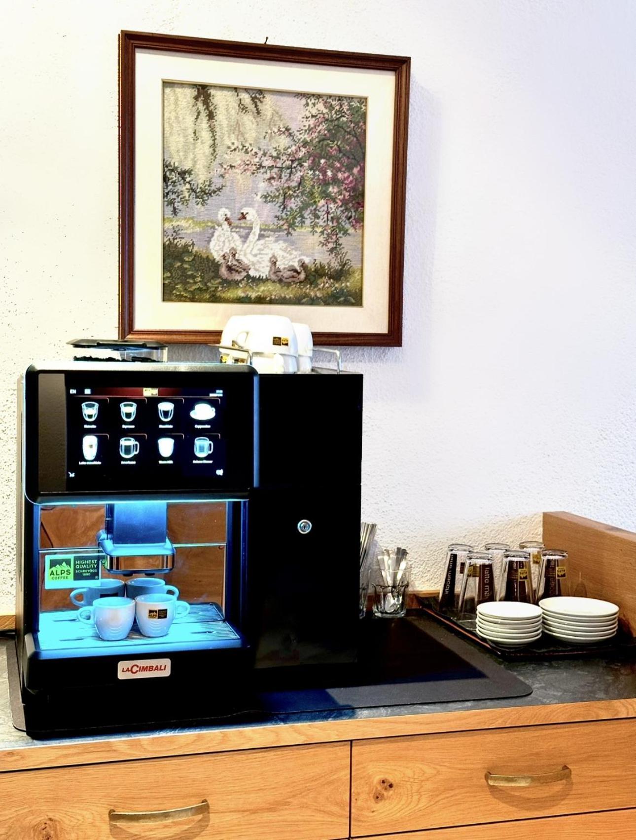 Garni Hotel Dorothea Tirolo Dış mekan fotoğraf